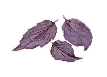 Similar image 21280675