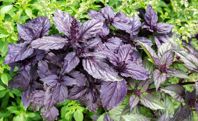 Similar image 21280677