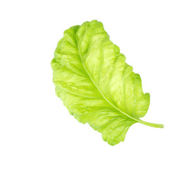 Similar image 21280678