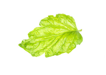 Similar image 21280679