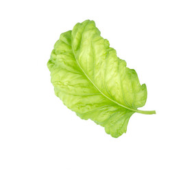 Similar image 21280680