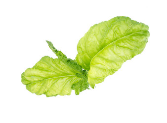 Similar image 21280682