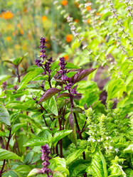 Similar image 21280687