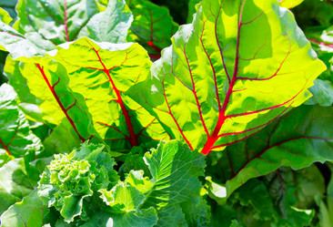 Similar image 21280690