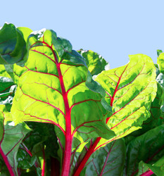 Similar image 21280692