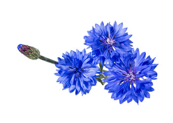 Similar image 21280696