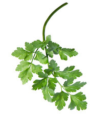 Similar image 21280731