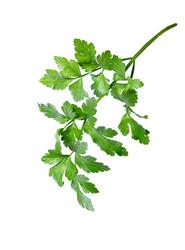 Similar image 21280733