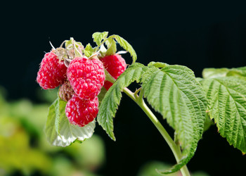 Similar image 21280737