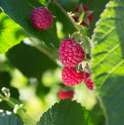 Similar image 21280739