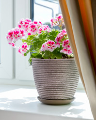 Similar image 21280742