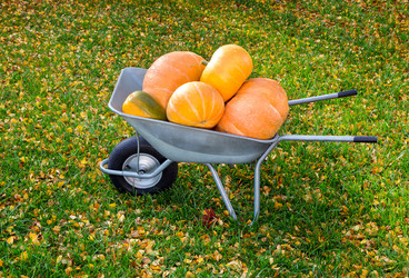 Similar image 21280745