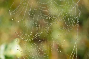 Similar image 21286422