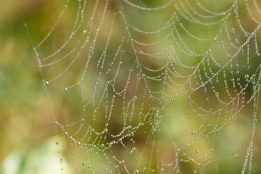 Similar image 21286423