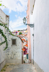 Similar image 21283086