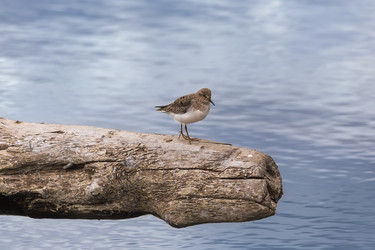 Similar image 21280267