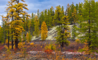 Similar image 21280269