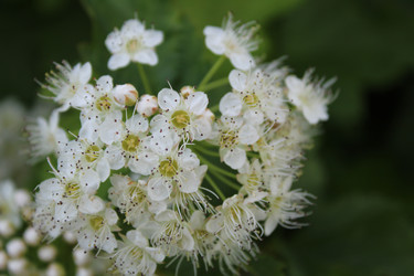 Similar image 21276811