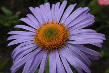 Similar image 21276813