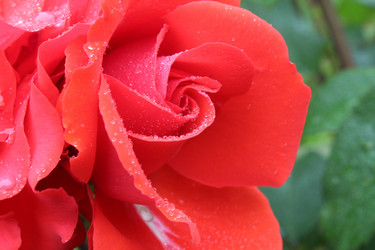 Similar image 21276814