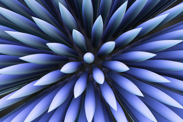 Similar image 21273318