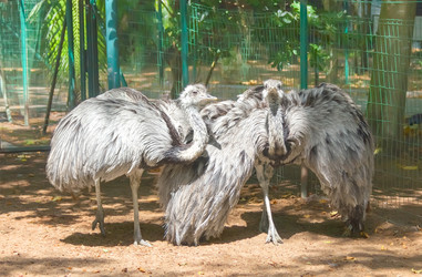 Similar image 21282731