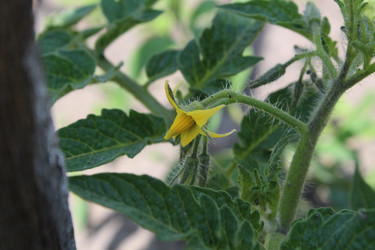 Similar image 21276527