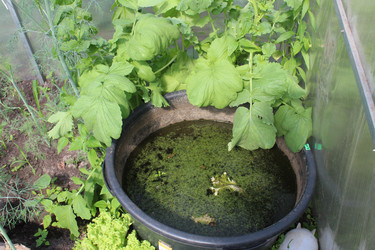 Similar image 21276531