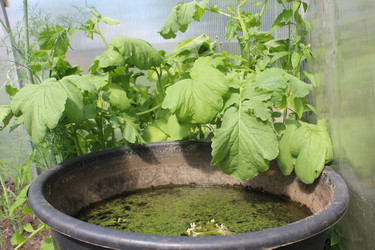 Similar image 21276532