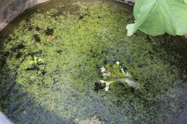 Similar image 21276533