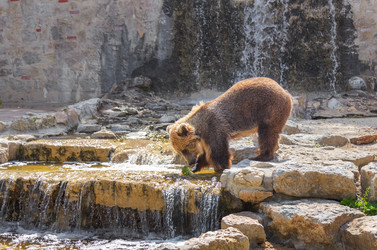 Similar image 21282947