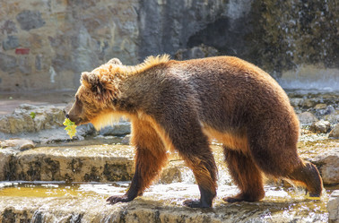 Similar image 21282949