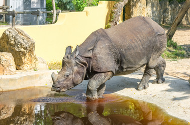 Similar image 21282950