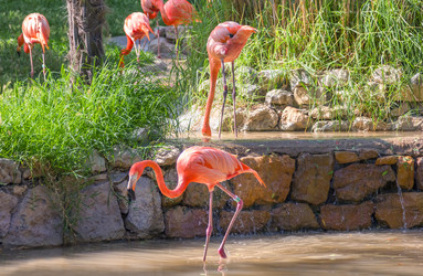 Similar image 21282951