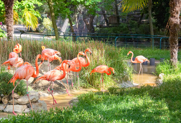 Similar image 21282952