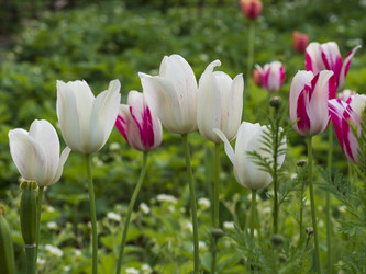 Similar image 21273327