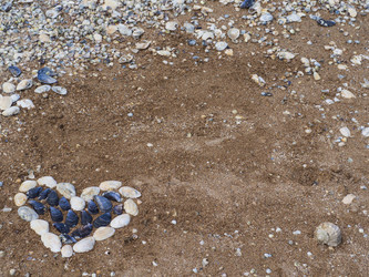 Similar image 21273328