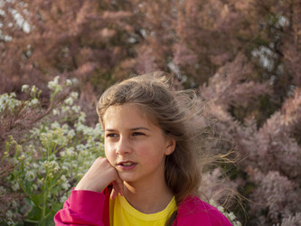 Similar image 21273329