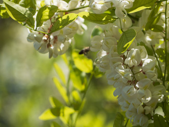 Similar image 21273330