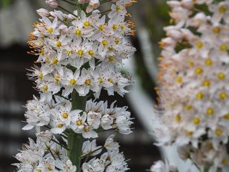 Similar image 21273331