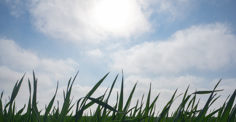 Similar image 21273335