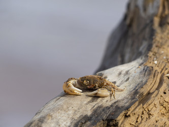 Similar image 21273336