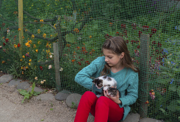 Similar image 21273337