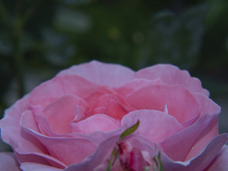 Similar image 21273339