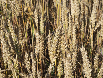 Similar image 21273342