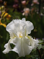 Similar image 21273376