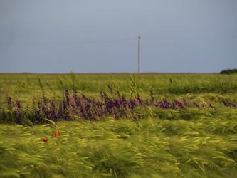 Similar image 21273377