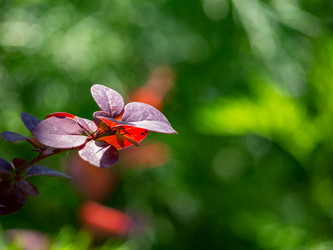 Similar image 21273378