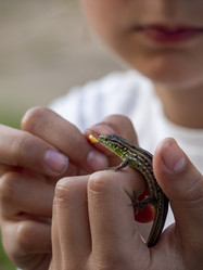 Similar image 21273383