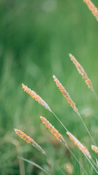 Similar image 21272997